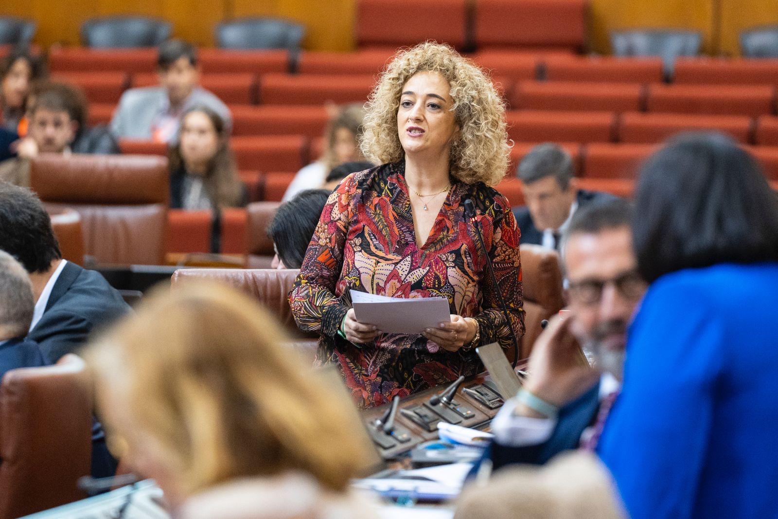 El PP reivindica la gestin del Gobierno de Juanma Moreno en materia de dependencia